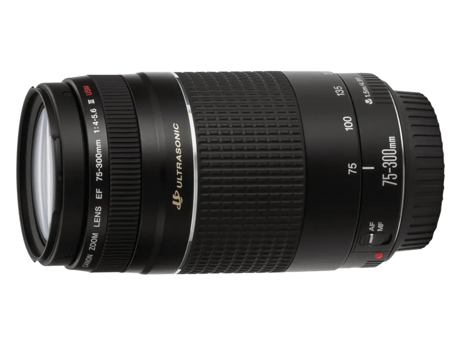 Ремонт объектива Canon EF 75-300 f/4-5.6 III USM в Челябинске