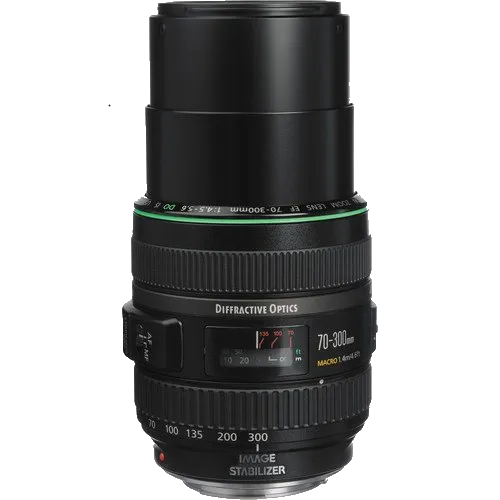 Ремонт объектива Canon EF 70-300 f/4.5-5.6 DO IS USM в Челябинске