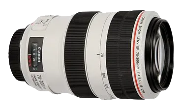 Ремонт объектива Canon EF 70-300mm f/4-5.6L IS USM в Челябинске