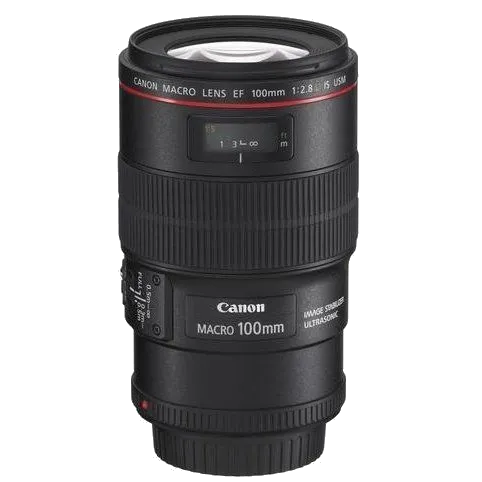 Ремонт объектива Canon EF 100 f/2.8L Macro IS USM в Челябинске