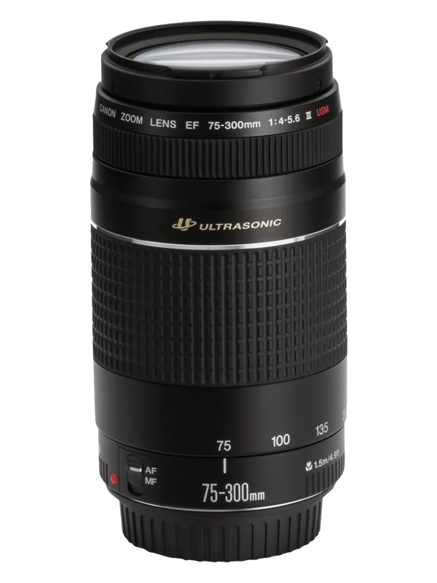 Ремонт объектива Canon EF 75-300 f/4-5.6 III в Челябинске