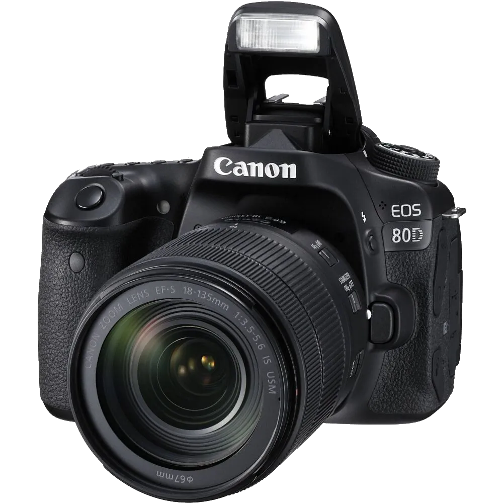 Программный ремонт Canon EOS 80D