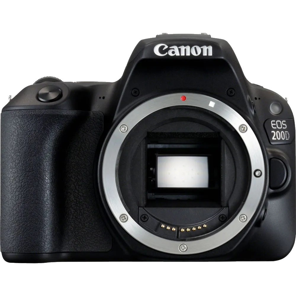 Программный ремонт Canon EOS 200D