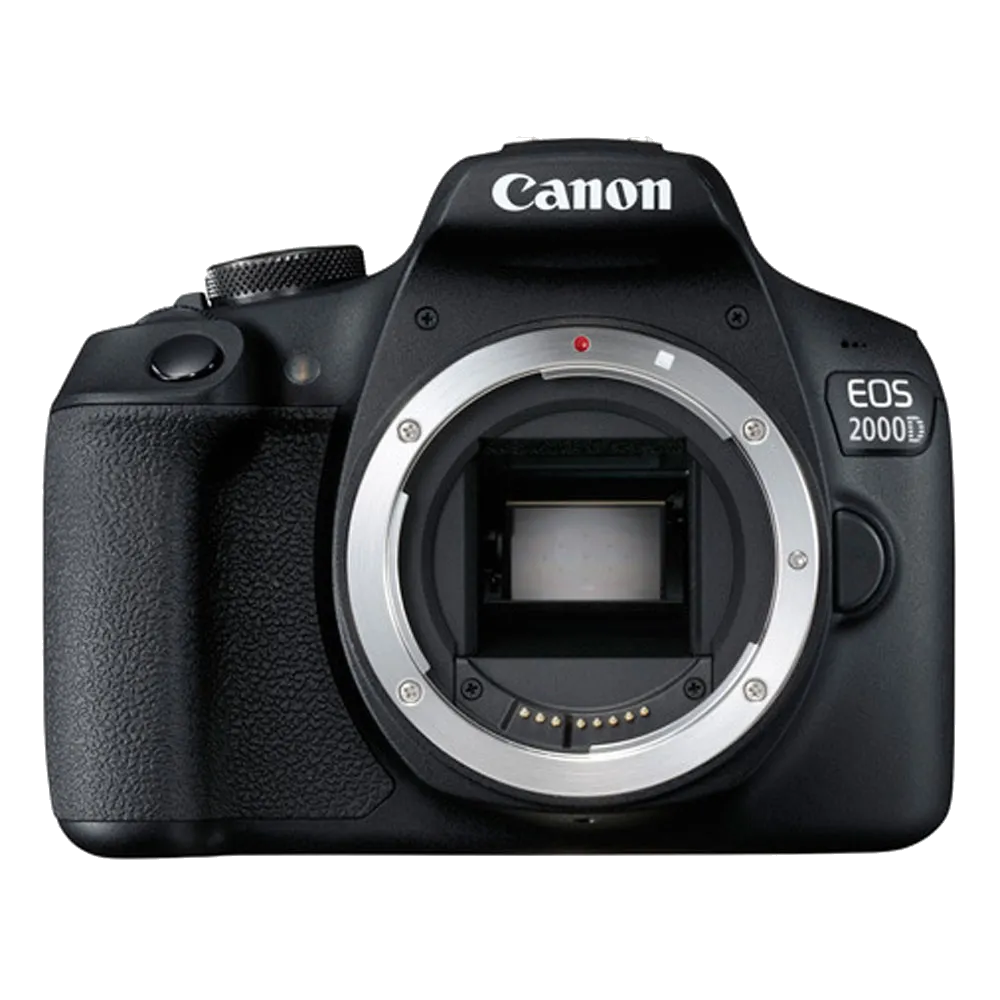 Программный ремонт Canon EOS 2000D