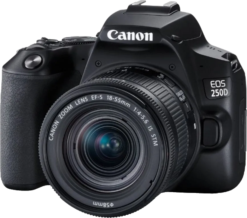 Программный ремонт Canon EOS 250D Kit 18-55mm IS STM