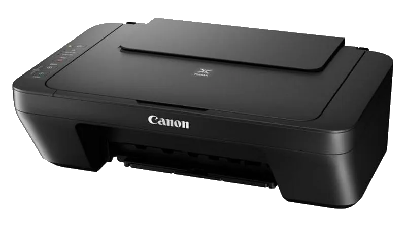 Чистка блока проявки Canon Pixma MG2545S