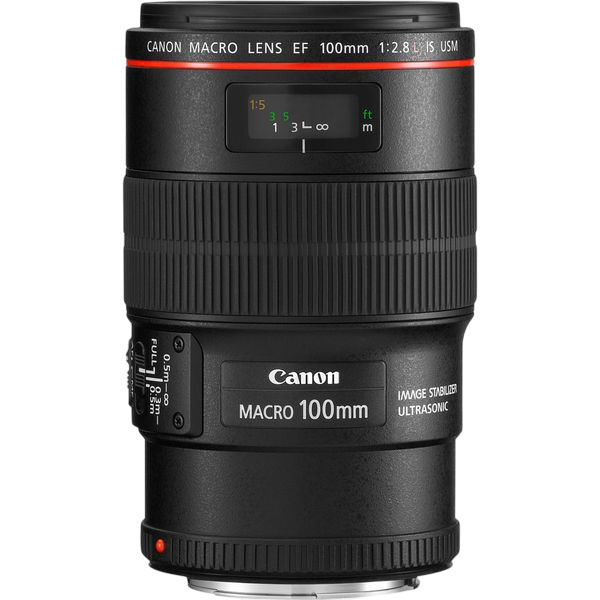 Ремонт объектива Canon EF 100mm f/2.8L Macro IS USM в Челябинске