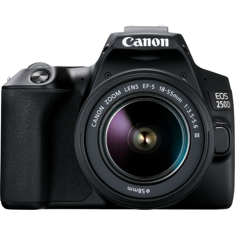 Программный ремонт Canon EOS 250D